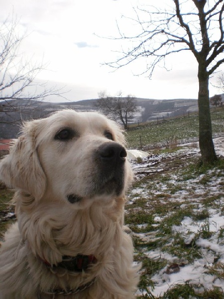 Ezia of Black And Sand